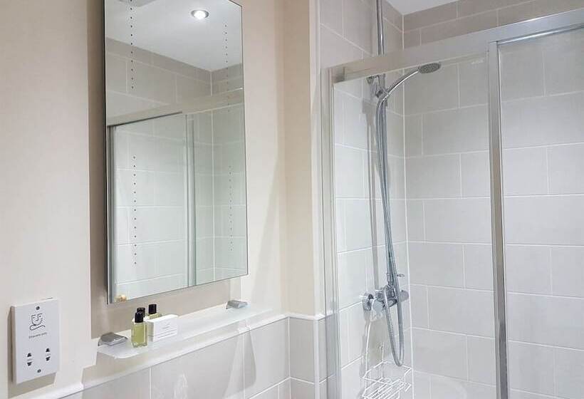 غرفة قياسية, The Lion