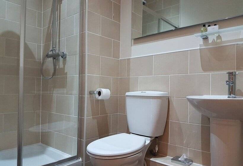 غرفة أساسية, The Lion