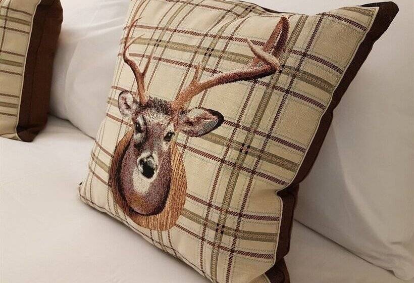 غرفة أساسية, The Lion