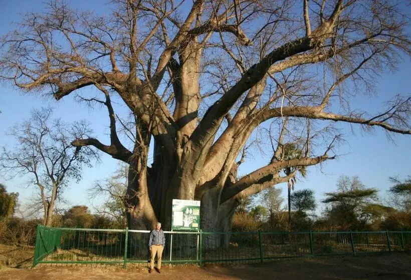اتاق استاندارد چهار تخته, Zambezi Family Lodge   Elephant Room