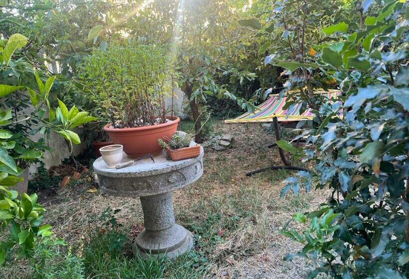 חדר סטנדרט, Nuoro Suite