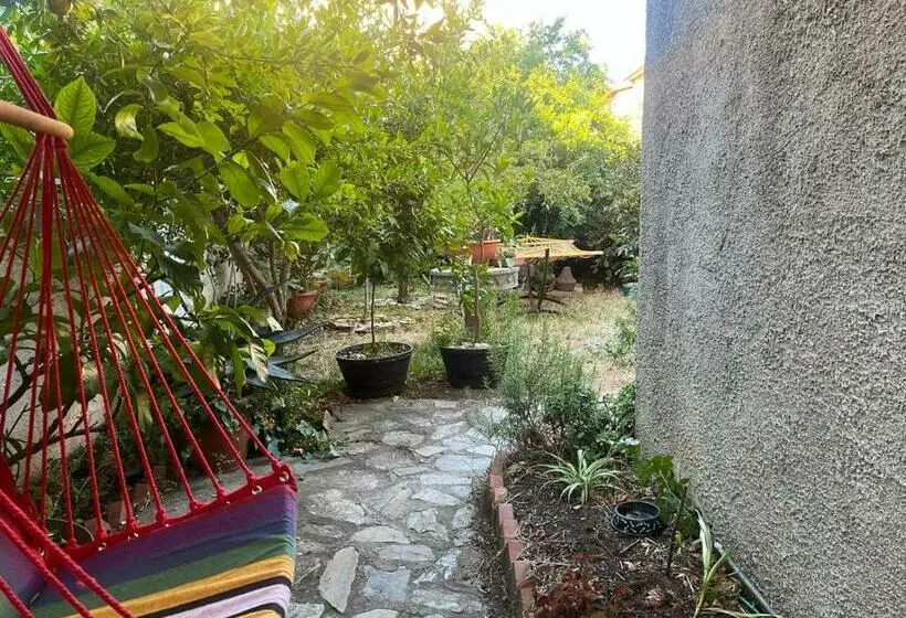 スタンダードルーム, Nuoro Suite