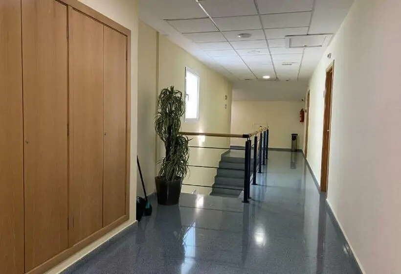 スタンダードシングルルーム, Residencia Mediterraneo