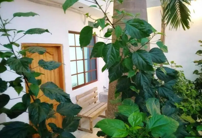 اتاق استاندارد چهارنفره با چشم‌انداز باغ, Manteña Boutique