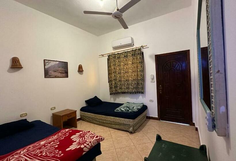 اتاق استاندارد, Seven Heaven Hotel And Diving Center