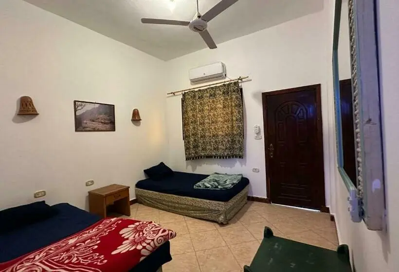 اتاق استاندارد, Seven Heaven Hotel And Diving Center