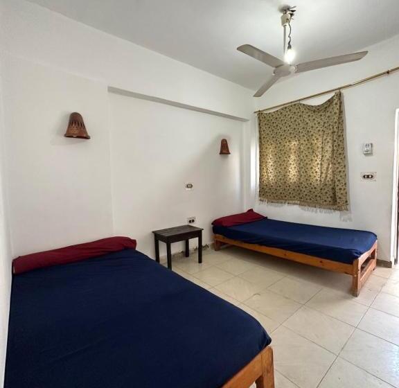 اتاق اکونومی یک تخته, Seven Heaven Hotel And Diving Center