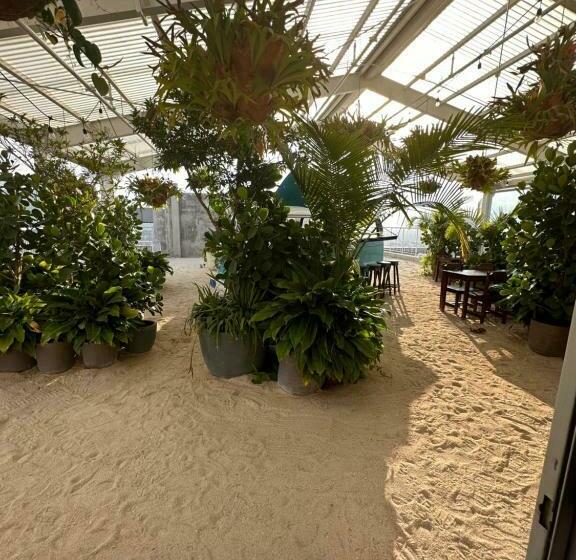 Апартаменты 2 Спальни, Ginos Dushi Secret For 8 People