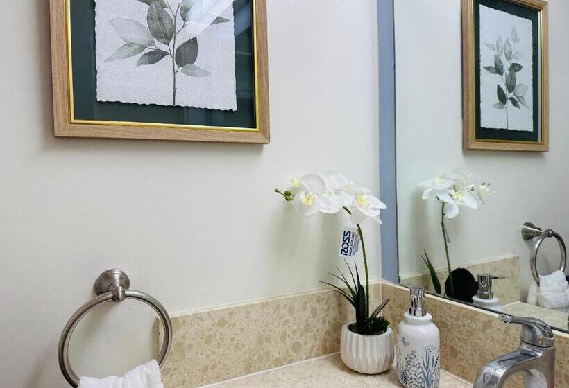 آپارتمان 1 خوابه با چشم‌انداز, Waikiki Banyan Pool Free Parking Free Wi Fi One Br