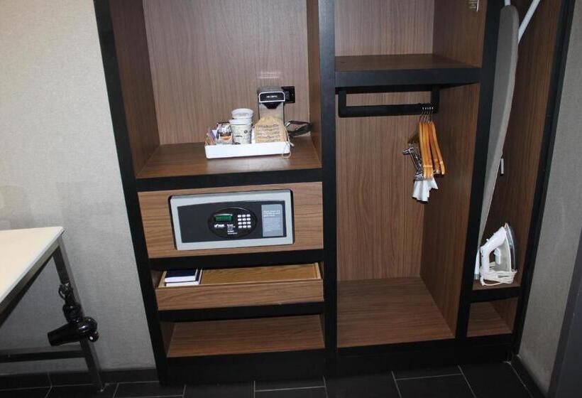 غرفة قياسية سرير كينج لذوى الإحتياجات الخاصة, Aloft Syracuse Inner Harbor