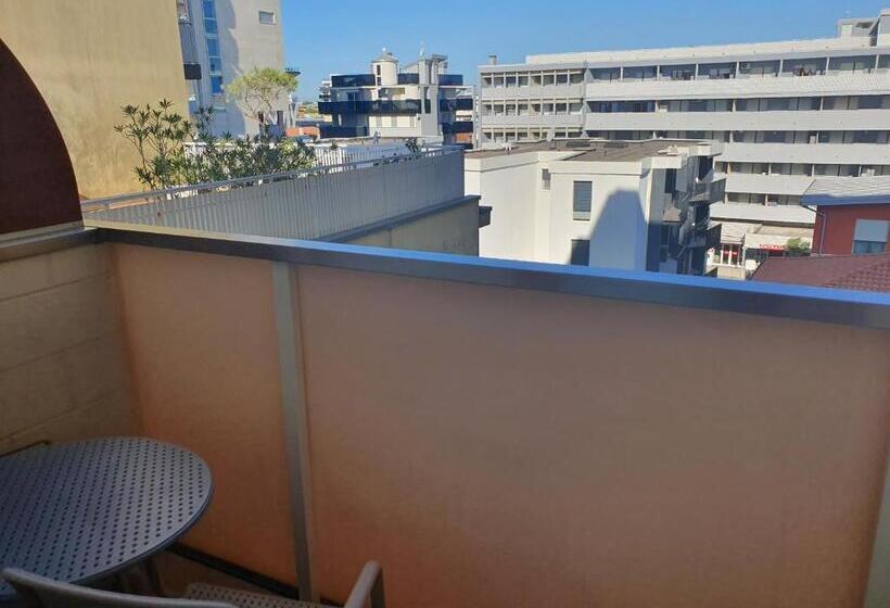 غرفة قياسية فردية, Europa