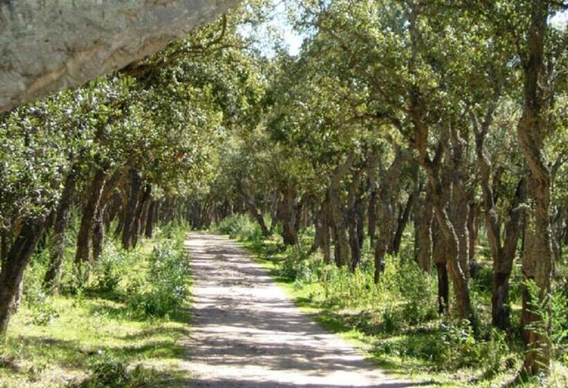 Апартаменты Prestige 1 Спальня, Résidence Aigue Marine