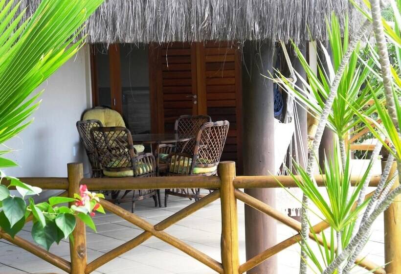 דירת חדר, Pipa Park