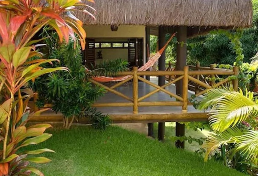 דירת חדר, Pipa Park