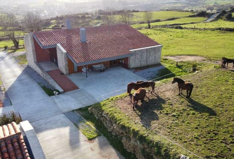 اتاق استاندارد با تخت بزرگ, Suites Niditas