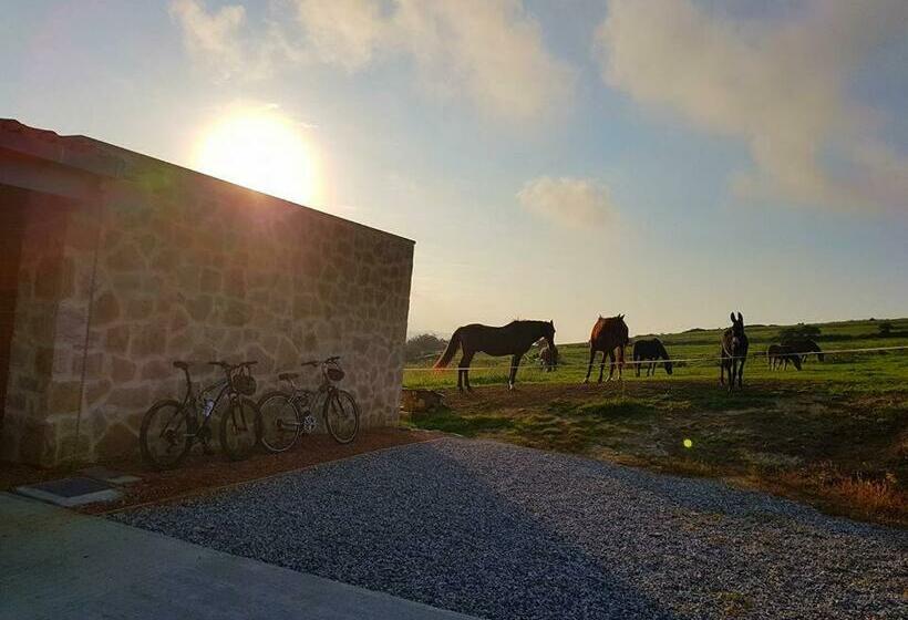 اتاق استاندارد با تخت بزرگ, Suites Niditas