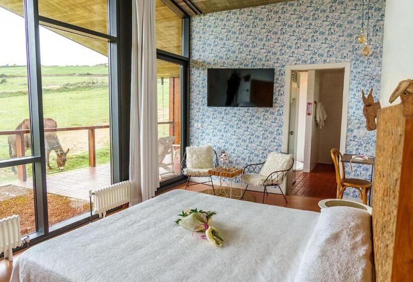 سوئیت با تخت بزرگ, Suites Niditas