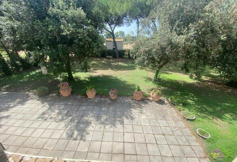 اتاق استاندارد, Agriturismo Bio San Mamiliano