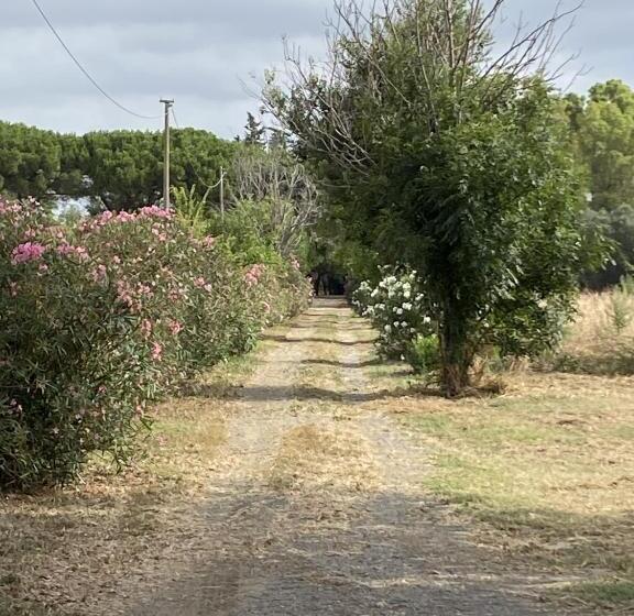 آپارتمان 1 خوابه با چشمانداز باغ, Agriturismo Bio San Mamiliano