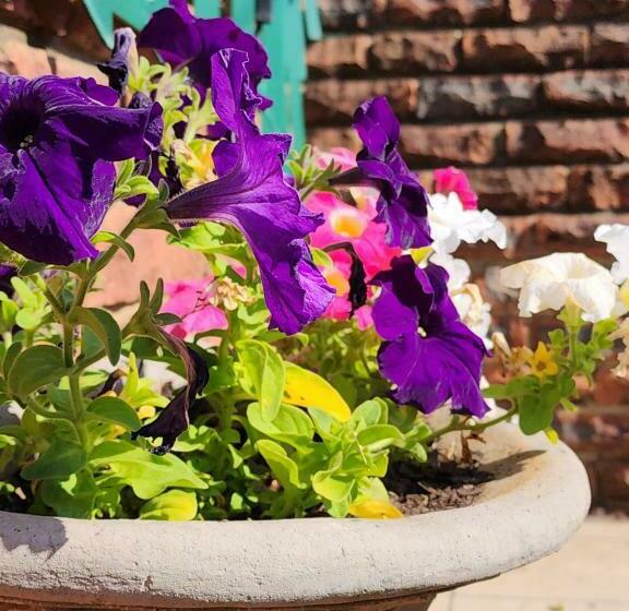 スタンダードルーム, Emani Guest House