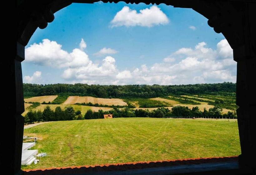 스탠다드 룸, Pensiunea Tara Codrului