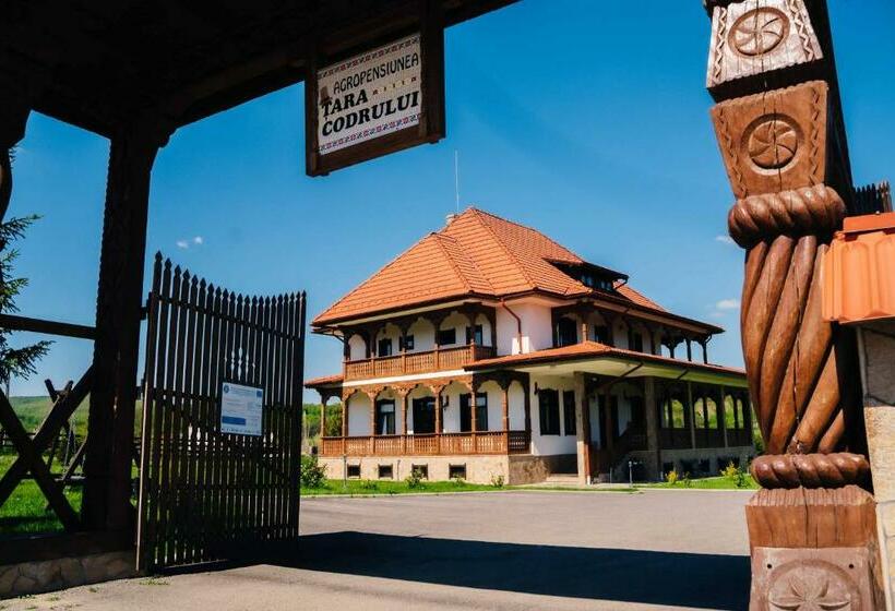 منزل غرفة نوم واحدة, Pensiunea Tara Codrului