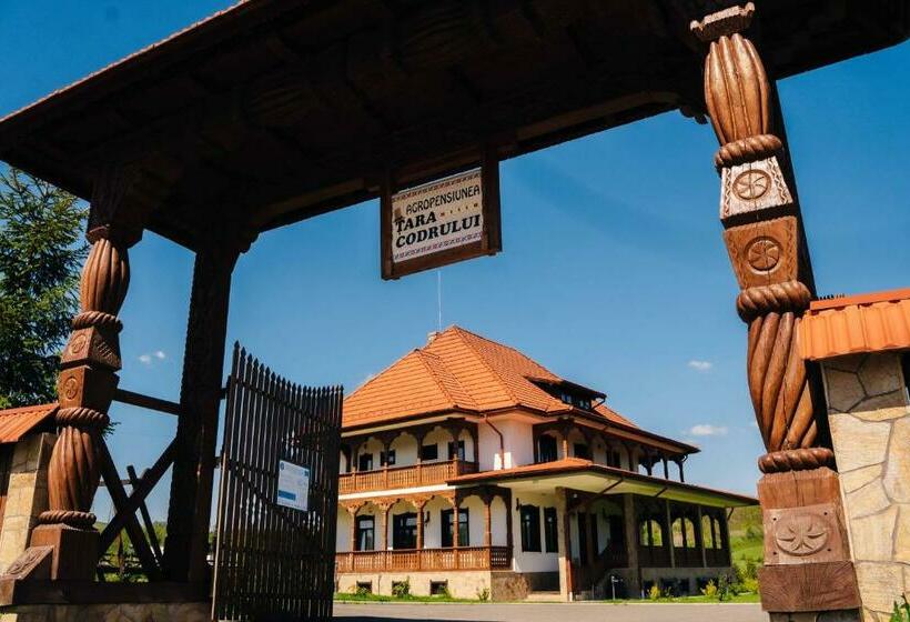 בית, חדר שינה 1, Pensiunea Tara Codrului