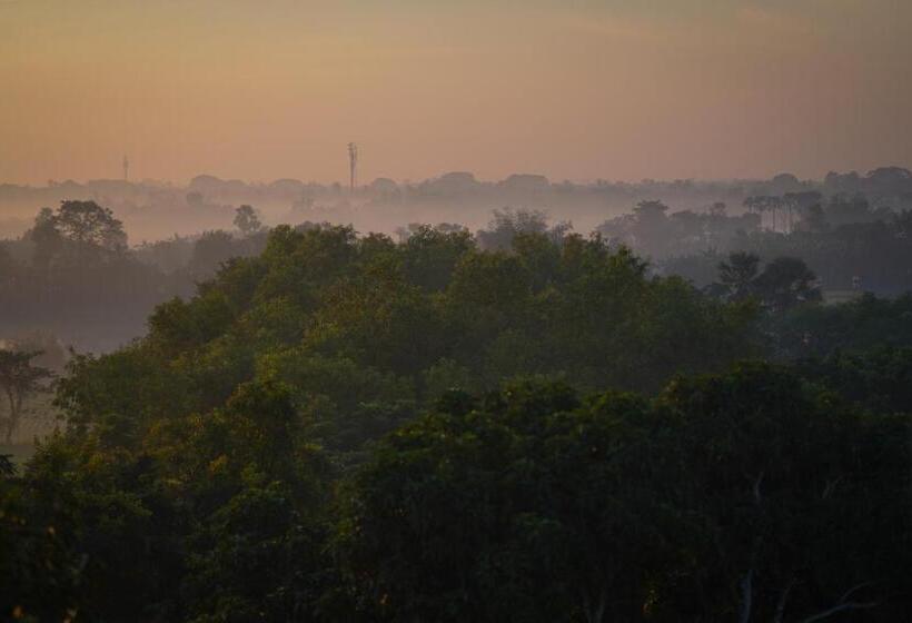 庭の見えるスタンダードトリプルルーム, Soultosoul Guesthouse