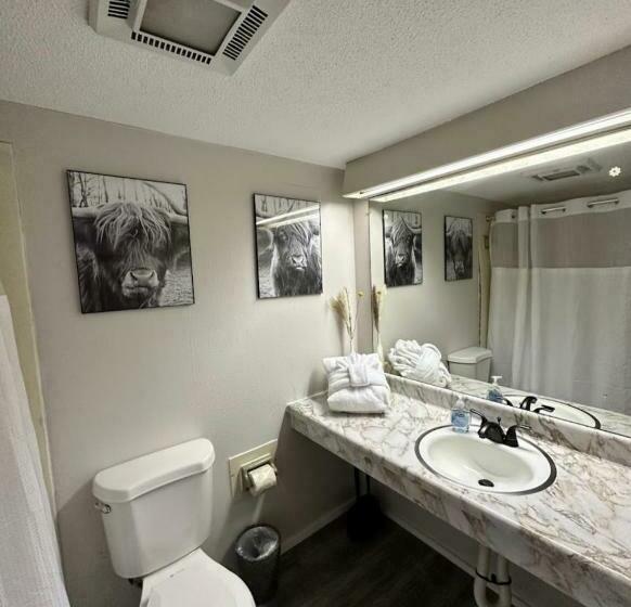 سوئیت با تخت بزرگ, Timber Ridge Lodge Gatlinburg
