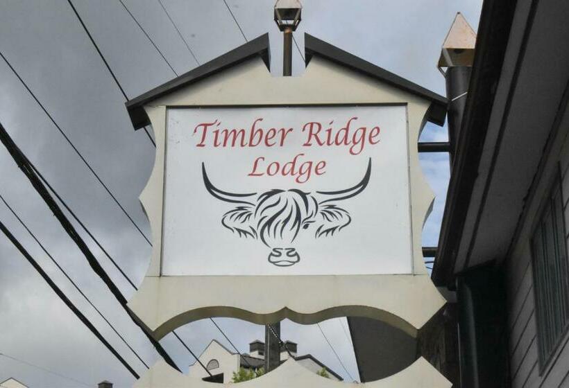 Номер Стандарт, Timber Ridge Lodge Gatlinburg