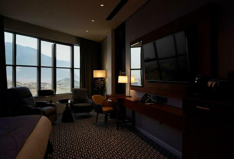 חדר דחוקס עם מיטת קינג, Stwin