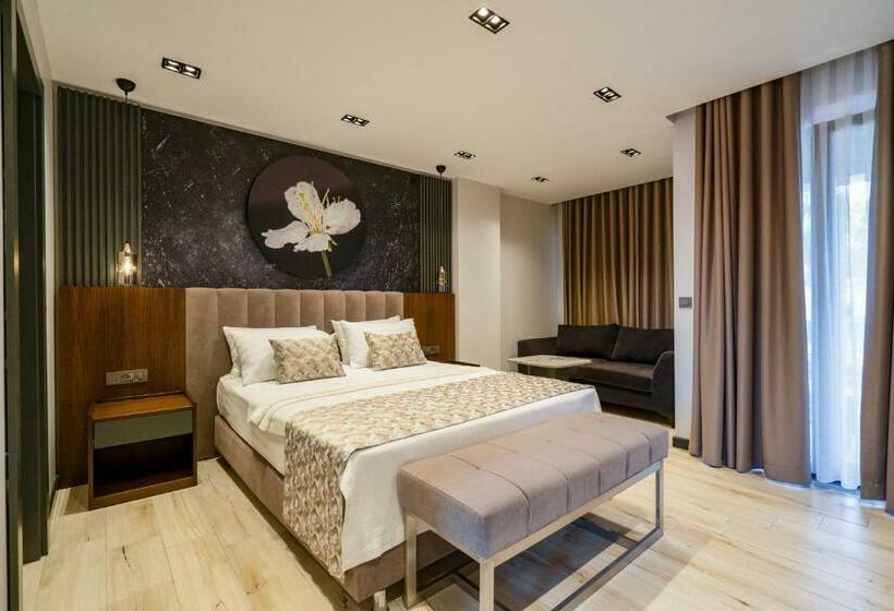 带大床的标准间, La Miel Suites