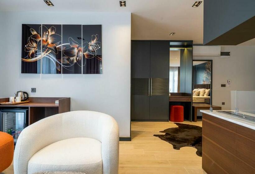 带大床的标准间, La Miel Suites