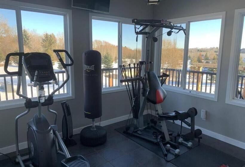 إستوديو ديلوكس, Dragonfly Inn Walkout Suites