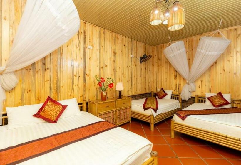 اتاق استاندارد چهار تخته, Hoalu Backpacker Homestay