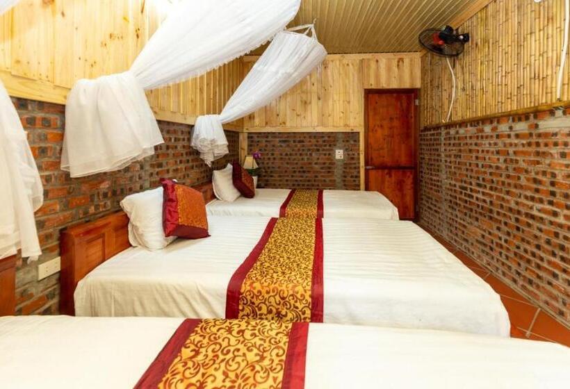 اتاق استاندارد سه تخته با سرویس بهداشتی مشترک, Hoalu Backpacker Homestay