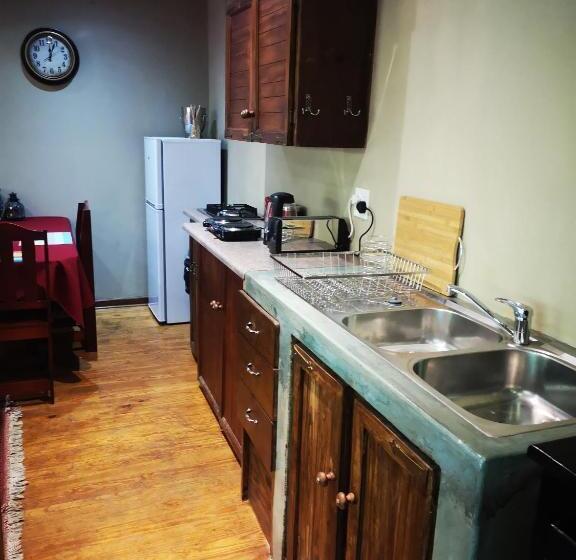 带2个卧室的公寓, Dublin Guest House