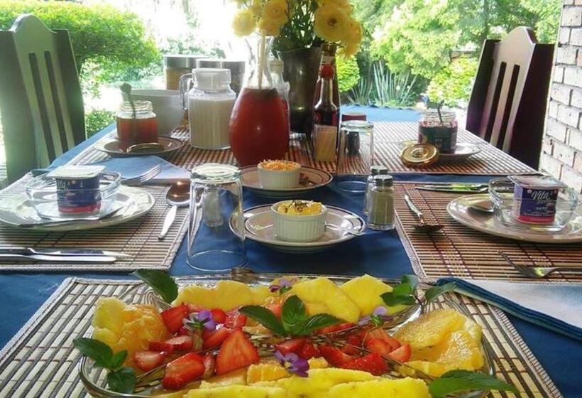 带1个卧室的公寓, Dublin Guest House