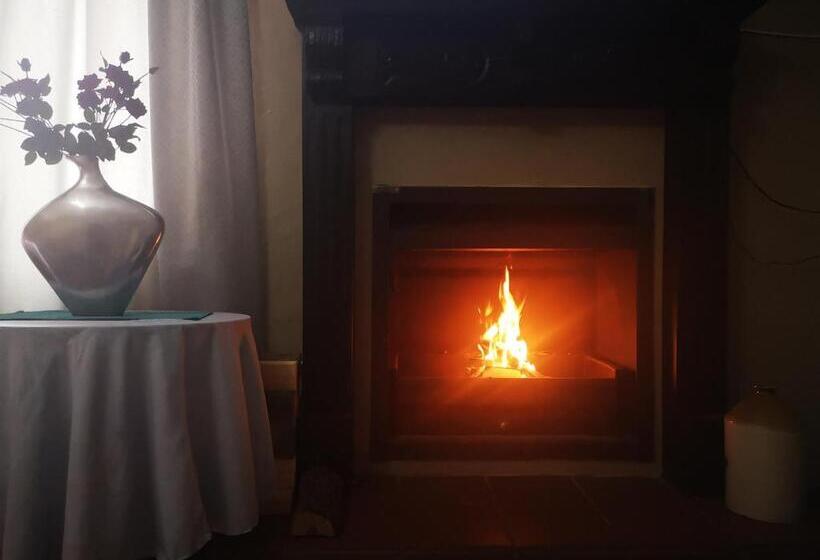 带1个卧室的公寓, Dublin Guest House