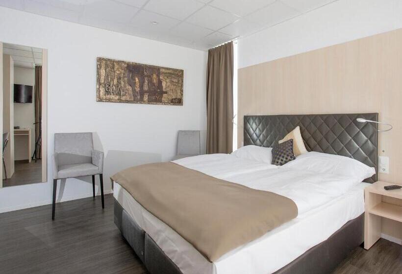 Студия Deluxe, Los Lorentes Hotel Bern Airport