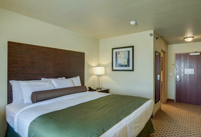 غرفة ديلوكس سرير كينج, Cobblestone Inn & Suites  Oberlin