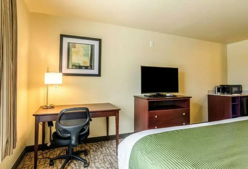 キングサイズベッドのデラックスルーム, Cobblestone Inn & Suites  Oberlin