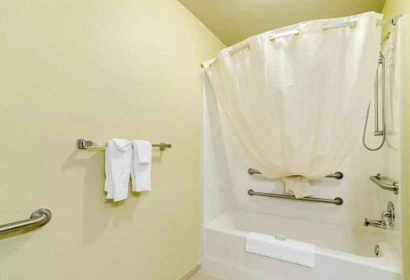 身障者適用キングサイズベッドルーム, Cobblestone Inn & Suites  Oberlin