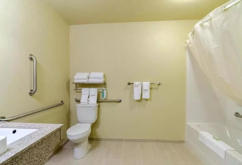 身障者適用キングサイズベッドルーム, Cobblestone Inn & Suites  Oberlin