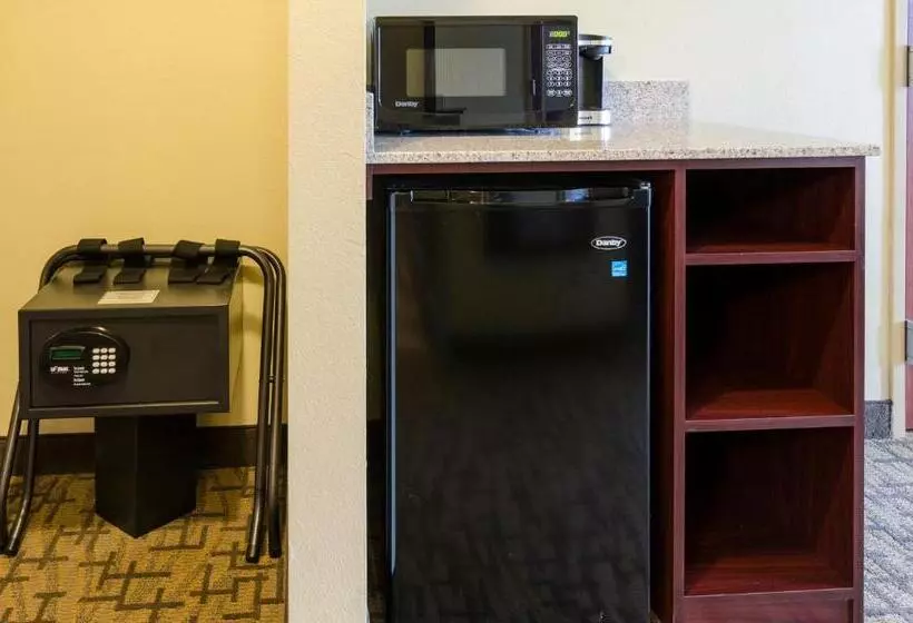 身障者適用キングサイズベッドルーム, Cobblestone Inn & Suites  Oberlin