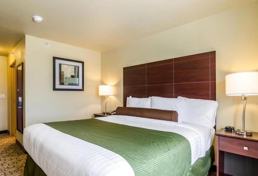 장애인을 위한 킹사이즈 침대 스탠다드 룸, Cobblestone Inn & Suites  Oberlin