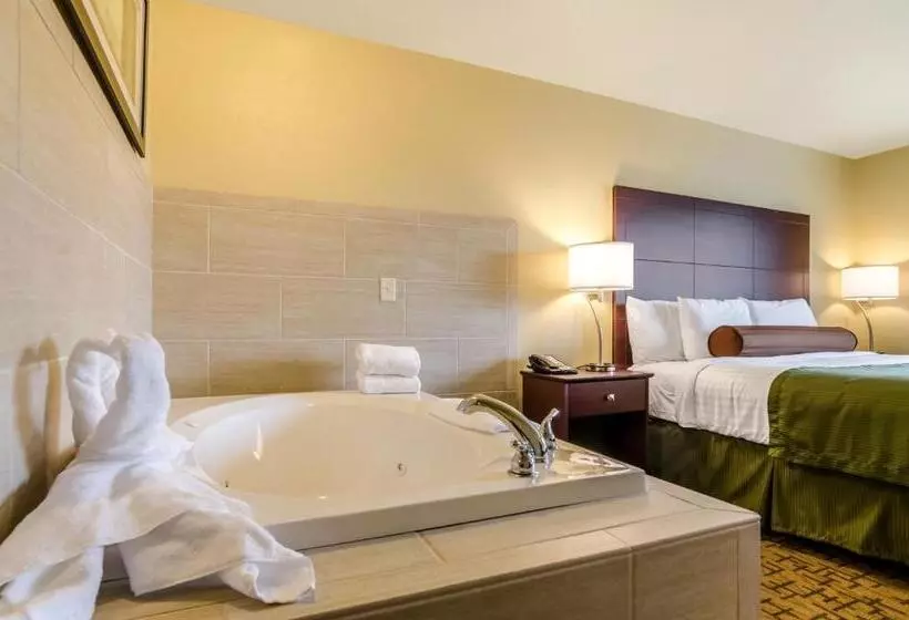キングサイズベッドのスイートルーム, Cobblestone Inn & Suites  Oberlin