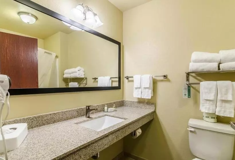 キングサイズベッドのスイートルーム, Cobblestone Inn & Suites  Oberlin