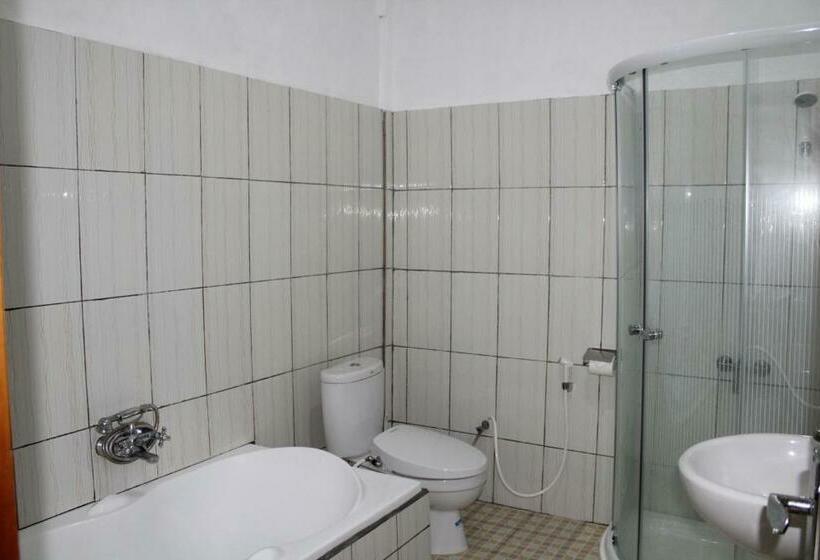 Номер Deluxe, Green Prundi