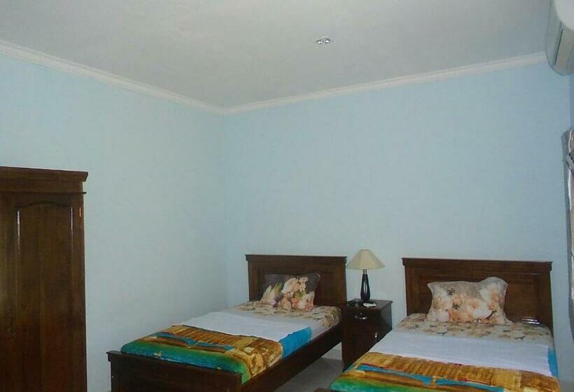 Номер Стандарт, Green Prundi